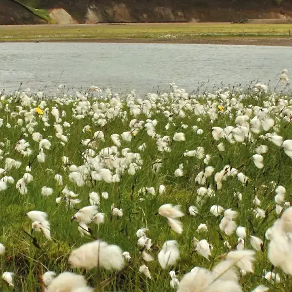 Ekspita Tekstil - Services