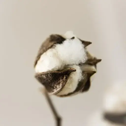 Ekspita Tekstil - Sustainability